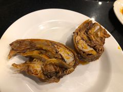 -冯记香辣兔火锅(茶店子总店)