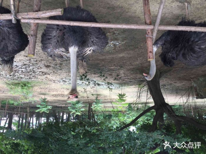 武汉动物园