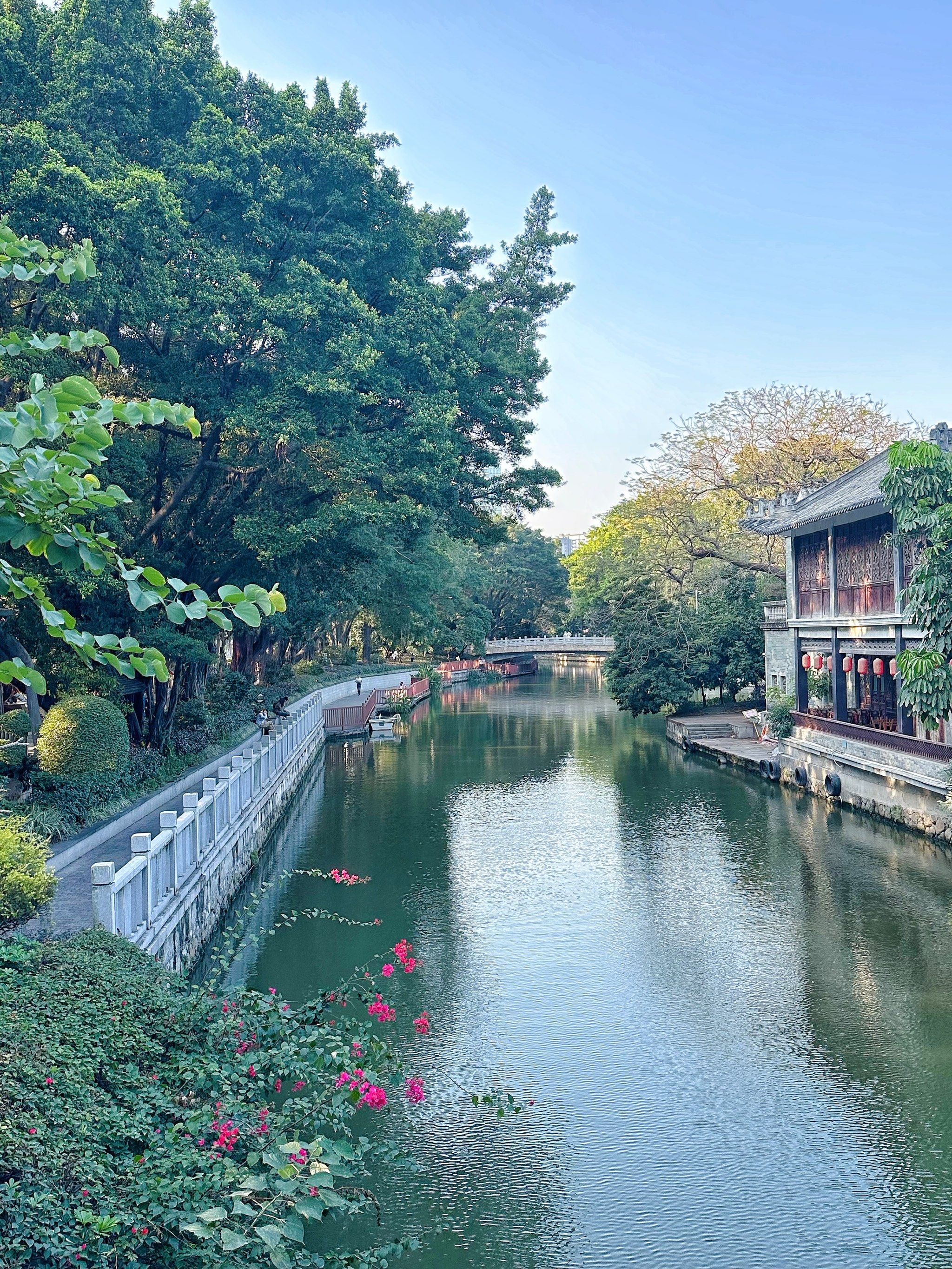 广州打卡|春暖花开,逛荔湾湖公园去