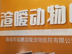 -渲嗳动物医院(异宠·复杂内科转诊中心·玖洲道富华里分院)
