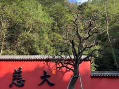 -大慈岩风景区