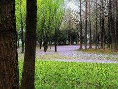 -长广溪湿地公园