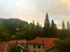 -马克咖啡The Moganshan Lodge