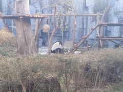 -五龙山野生动物王国