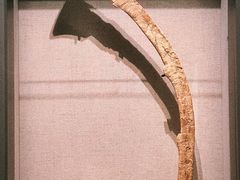 -上海崧泽遗址博物馆