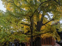 -红螺寺