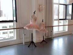 -芭蕾仙子 FairyBallet 少儿芭蕾舞蹈中心(丽都旗舰店)