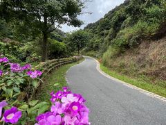 -阳台山森林公园