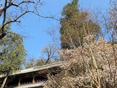 -潭柘寺景区