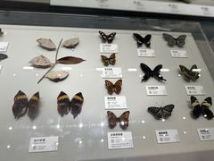 -四川大学博物馆