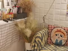 -白日梦奶茶