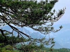 -含鄱口