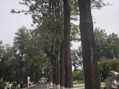 -西昌邛海宾馆