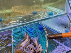 -粤香楼(新光里店)
