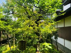 -三千院