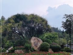 -滴水岩森林公园