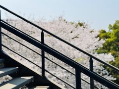 -IKEA宜家家居(南京商场)