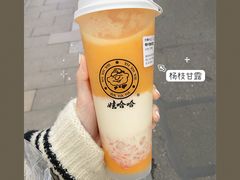 -娃哈哈·奶茶(武林店)