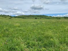 -塞罕坝国家级自然保护区