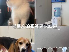-泰洋动物医院·神经专科·磁共振·CT(天河公园总院)