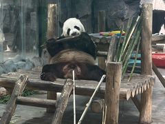 -栾川竹海野生动物园