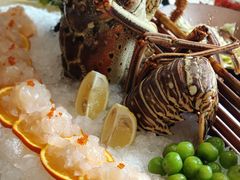 -驻海渔市(置信店)