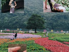 -广州市石门国家森林公园