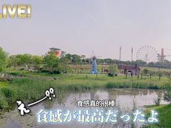 -花博汇(知音花月夜)