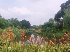 -大旗头古村
