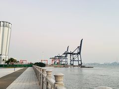 -华侨公园