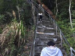 -广东大峡谷