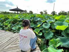 -梁鸿国家湿地公园