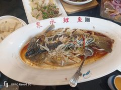 -燕喜堂·中华老字号(大明湖店)