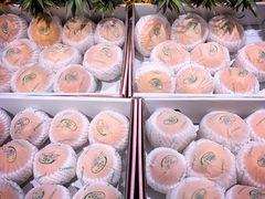 -鲜果壹号(苏站路店)