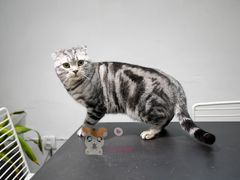 -UNI UNI(环亚凯瑟琳店)