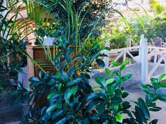 -红栌温泉山庄生态美食餐厅