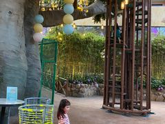 -杭州开元森泊度假乐园