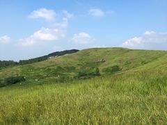 -恋山坝上草原