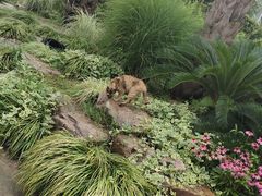 -上海佘山国家森林公园天马山园