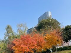 -滨江生态公园