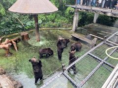 -深圳野生动物园