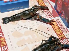 -熊记虾王·小龙虾(东晓南店)