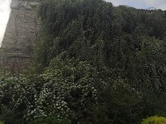 -府河摄影公园