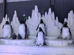 -宁波冰雪大世界(北仑区)