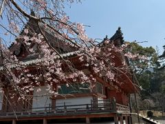 -醍醐寺