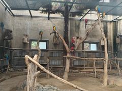 -大连森林动物园