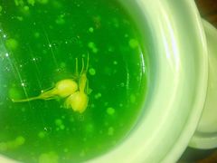 碧潭飘雪羹-听香·678茶铺(猛追湾店)
