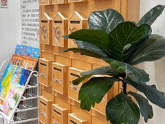 -猫的天空之城概念书店(印象城购物中心店)