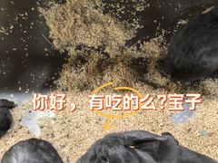 -上海大自然野生昆虫馆(东方明珠·爬宠昆虫探索中心)