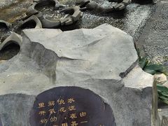 -成都市活水公园
